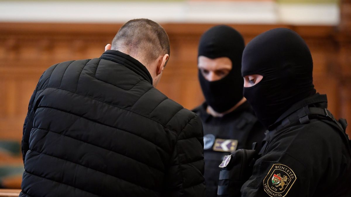 Akár a rendőrgyilkos sorsára is juthat a Révész Zsuzsát halálra késelő férfi?