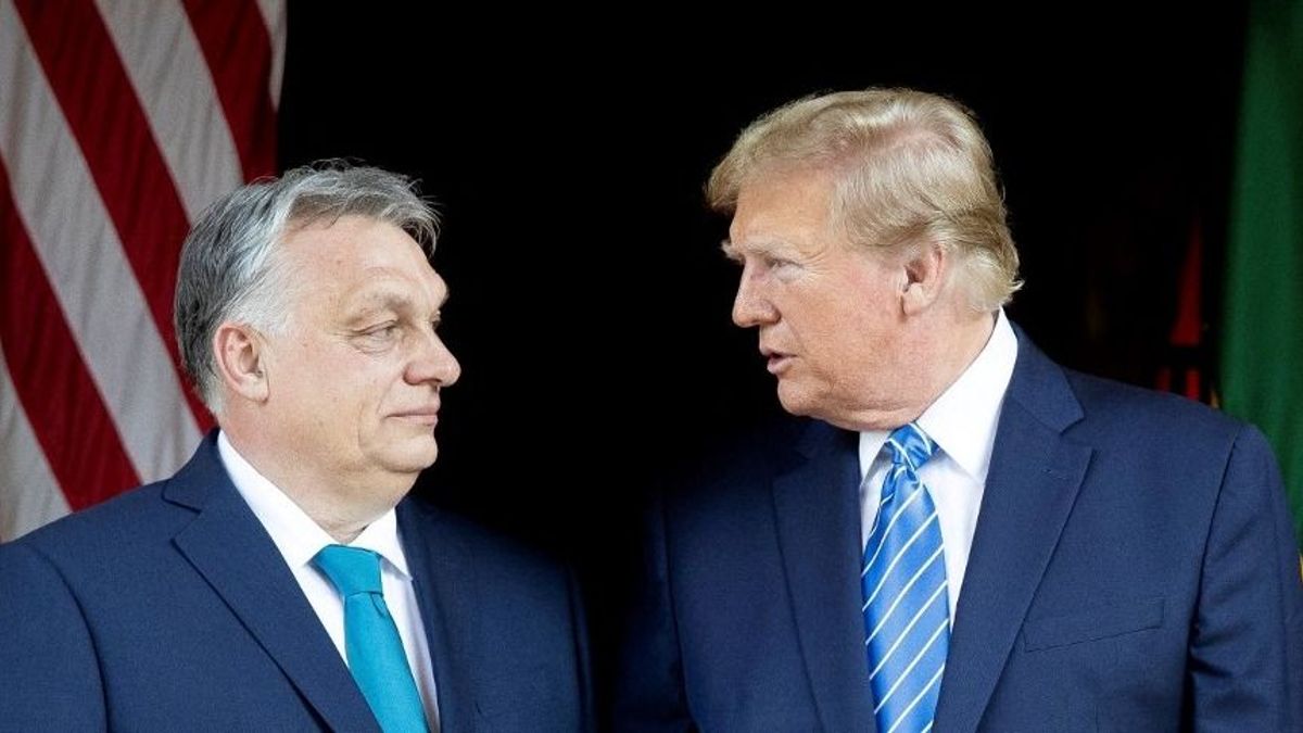 Trump fő szövetségese Európában Orbán Viktor – Nógrádi György a Mandiner választási műsorában – Mandiner