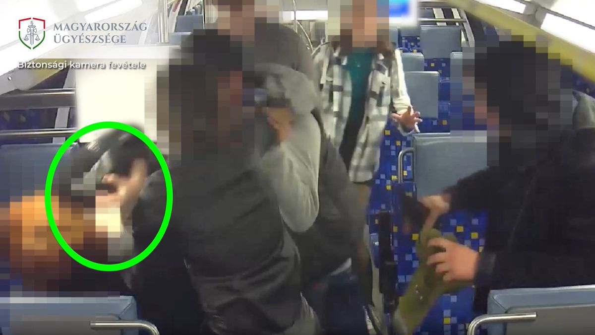 Videón, ahogy két lány elbánik a táskatolvajokkal a Szolnokra tartó vonaton