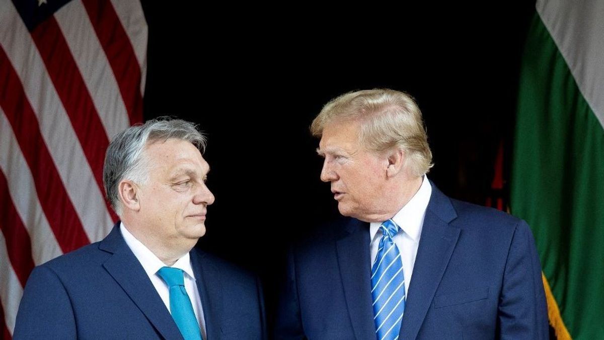 Frank Füredi: Magyarország helyzete megerősödhet Trump győzelme miatt