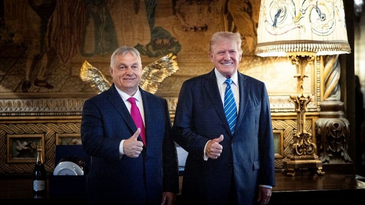 Elárasztották az X-et az Orbánt és Trumpot éltető kommentek a telefonhívás után: „Ti ketten megváltoztatjátok a világot!”