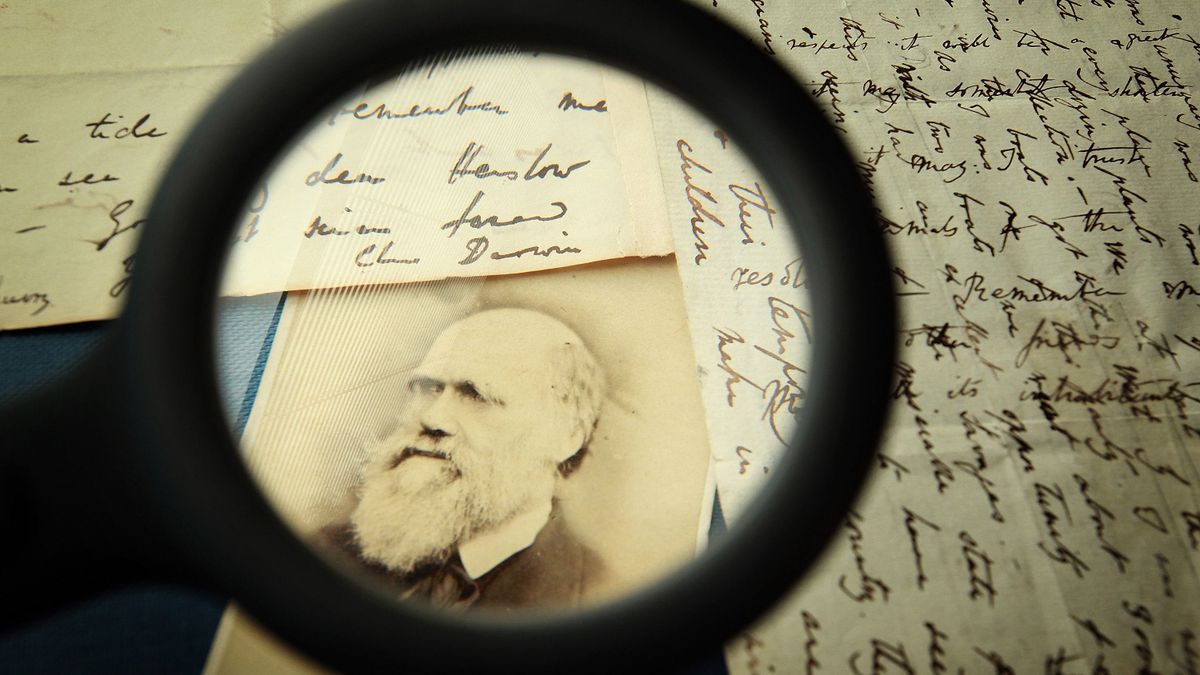 Darwin utazásai újabb felfedezésekhez vezettek