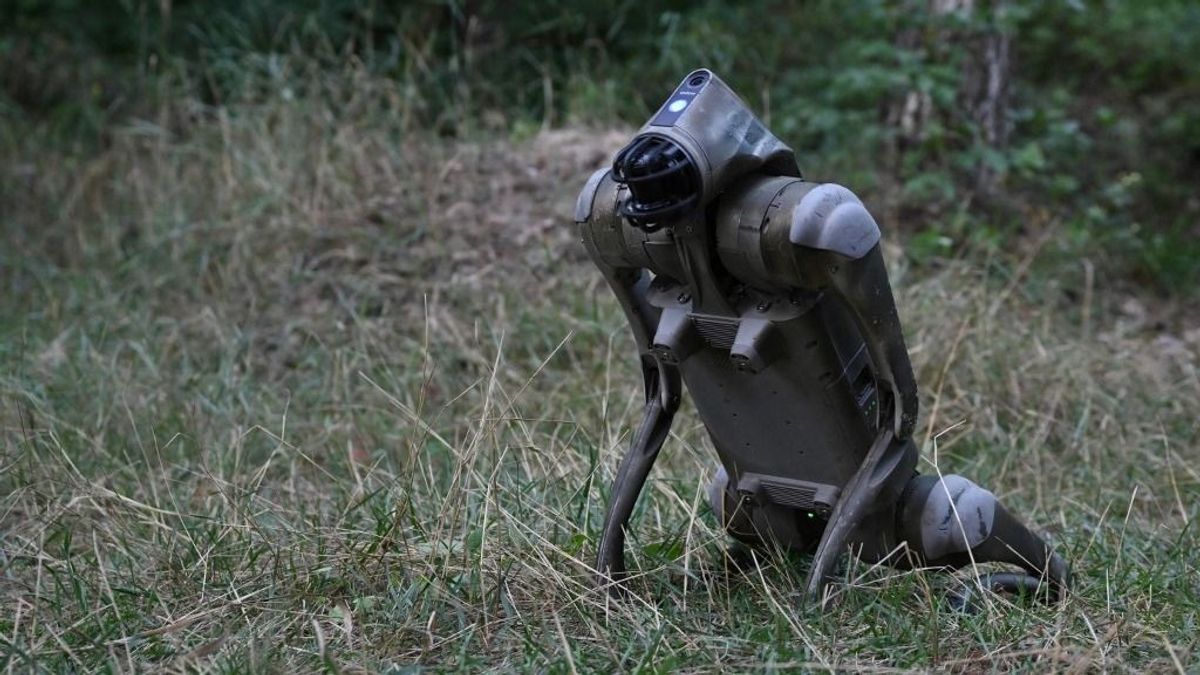 „Ne simogasd, nem kisállat!"– robotkutya őrzi Trumpot Floridában
