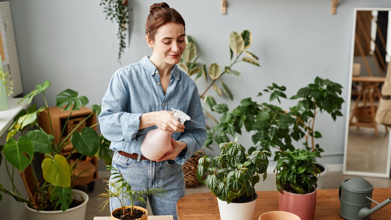 Portrait,Of,Smiling,Young,Woman,Watering,Plants,Indoors,And,Caring