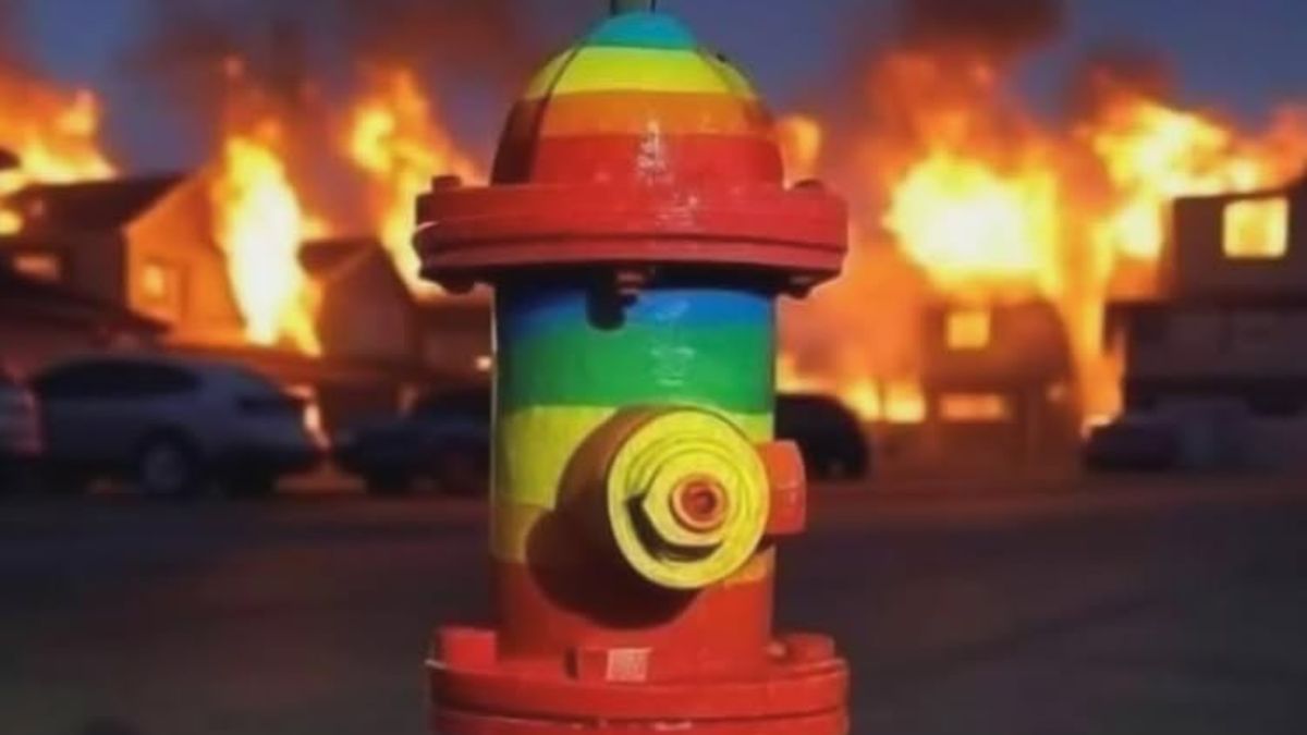 Los Angeles-i tűzvész: miért gondolják nagyon sokan, hogy a woke tehet az egészről?