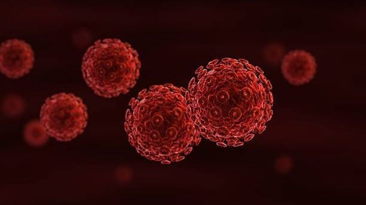 Az USAMRIID és a CDC megkongatta a vészharangot egy vírus miatt, az elnök mégsem foglalkozott vele – itt az eredmény (VIDEÓ)