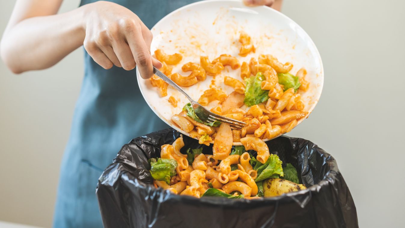 Compost,From,Leftover,Food,Asian,Young,Housekeeper,Woman,,Girl,Hand