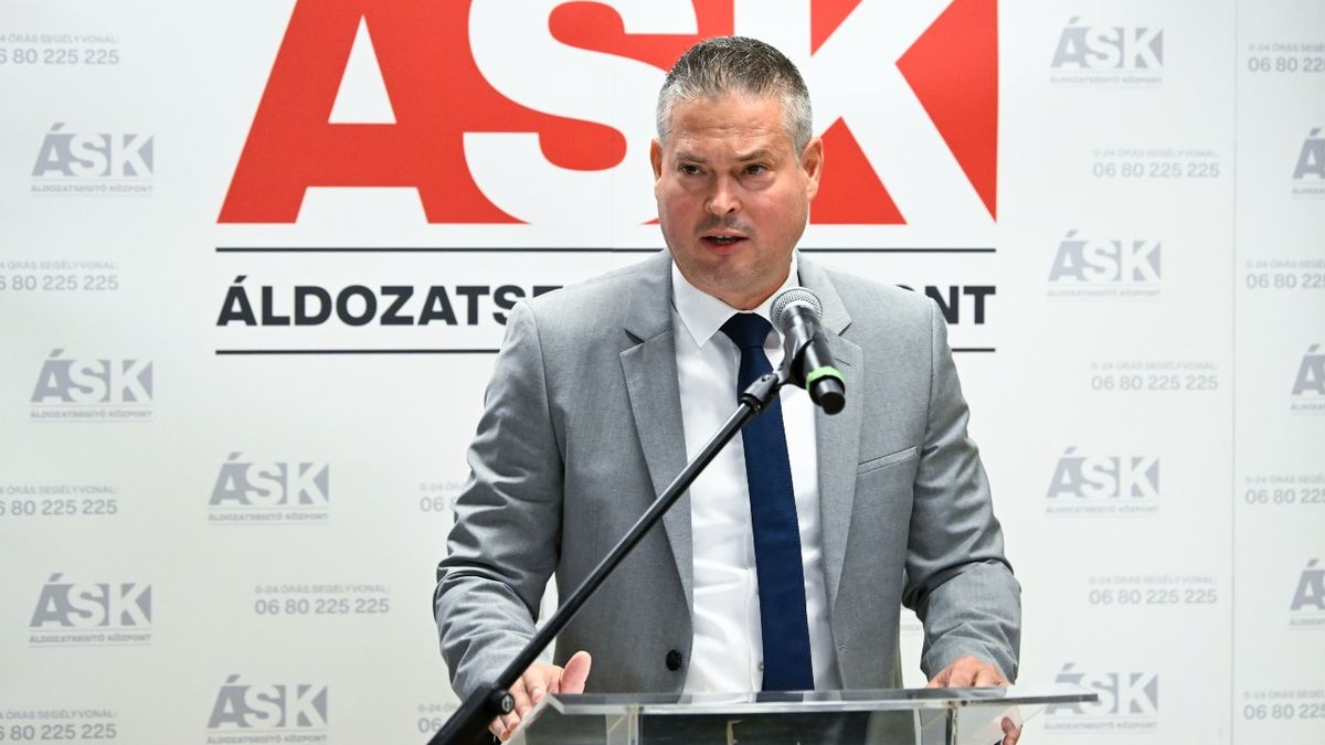 Kiss László sem home office-ban ül, hanem börtönben, de szemmel láthatóban ennek jelenleg semmi következménye nincs – Sára Botond a Mandinernek