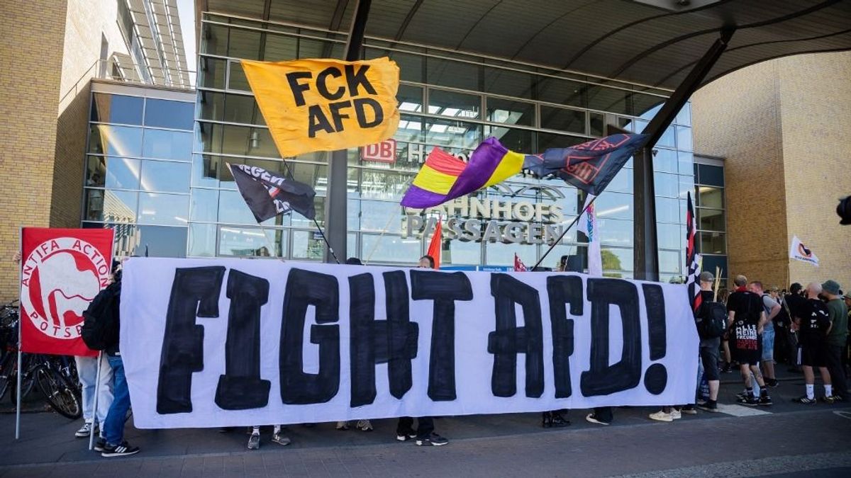A szavazók pénzével állítanák meg az AfD-ét
