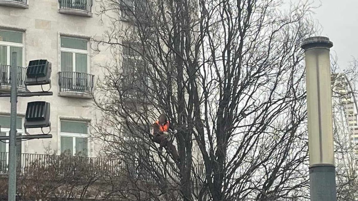 Fára mászott és ordítozott egy férfi a Deák téren – a rendőrök próbálták őt „leimádkozni”