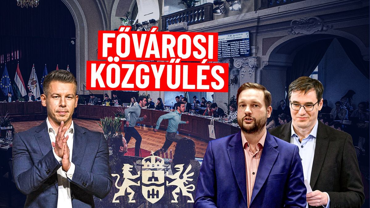 Megkérdeztük a tiszás politikusokat Magyar Péter legújabb botrányáról – a válasz mindent elárul