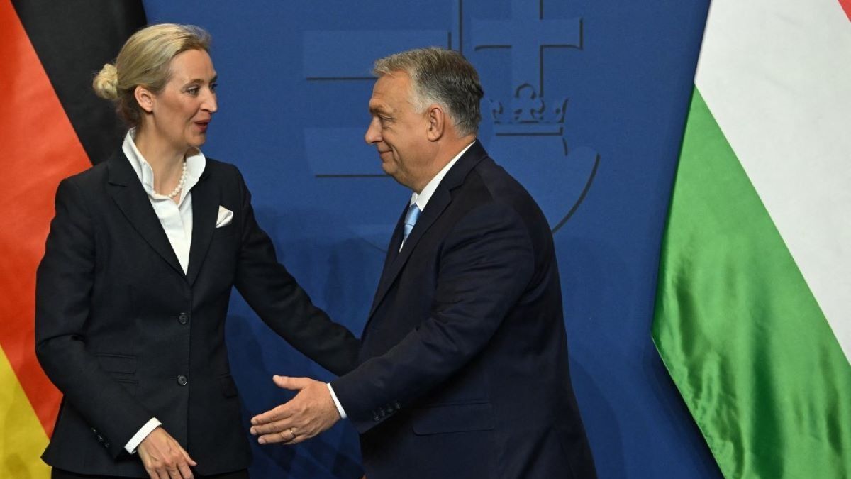 Weidel Orbánnak: Alig várom, hogy folytassuk az együttműködést magyar barátainkkal