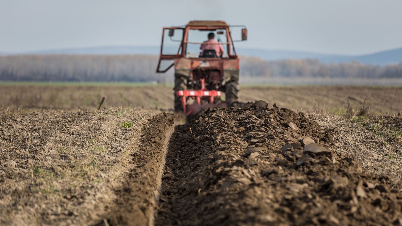 Traktor szánt ősszel (7 of 9)