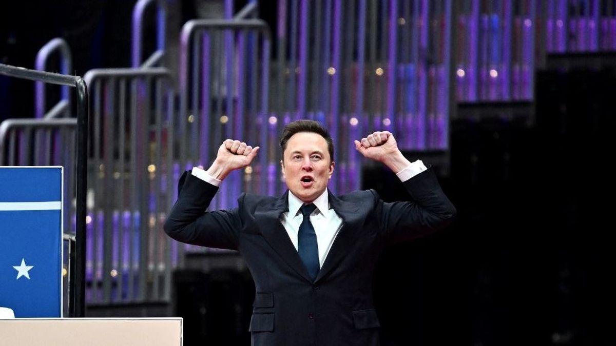Musk: Az AfD Németország egyetlen reménye
