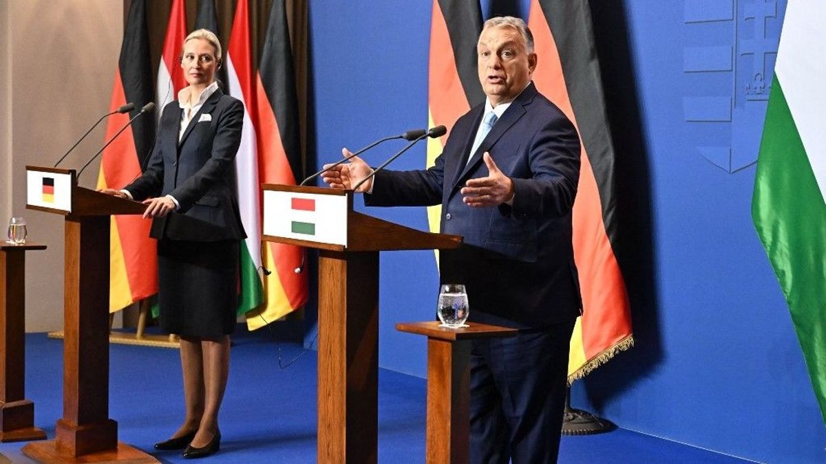 Hernádi Zsolt: Drukkoljunk, hogy az angyal leszálljon a Siegessäuléról, a racionalitás terjessze ki szárnyát, és a józan ész ragyogja be Berlin felett az eget!