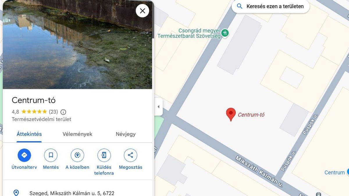 Természetvédelmi területté nyilvánította valaki Szeged közröhej tárgyát képező gödrét