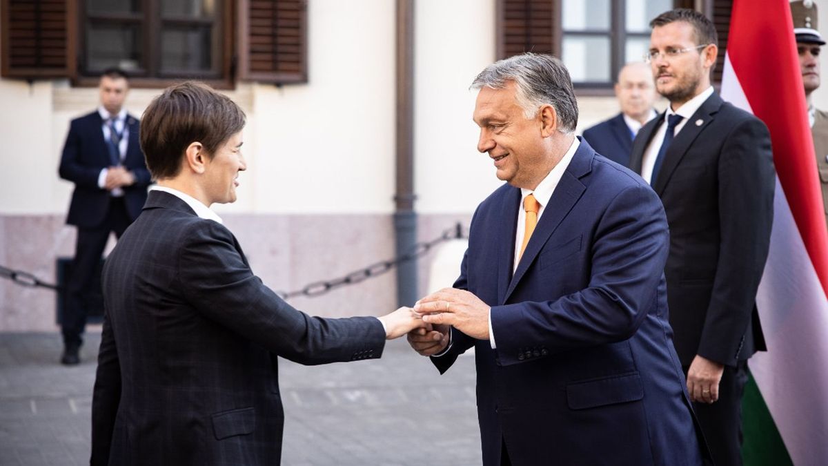 Perintfalvi Rita szerint a kézcsók a testi bántalmazás egyik formája
