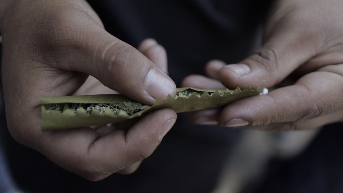 Szintetikus kábítószerek: kiderült mennyi herbált fogyasztanak a függők