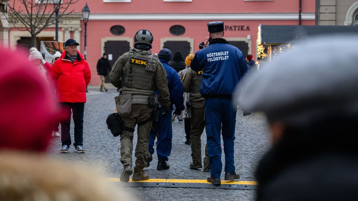 „Néhányuknak átvágom a torkát a machetével” – tömeggyilkosságra készült egy 19 éves magyar fiú a volt gimnáziumában