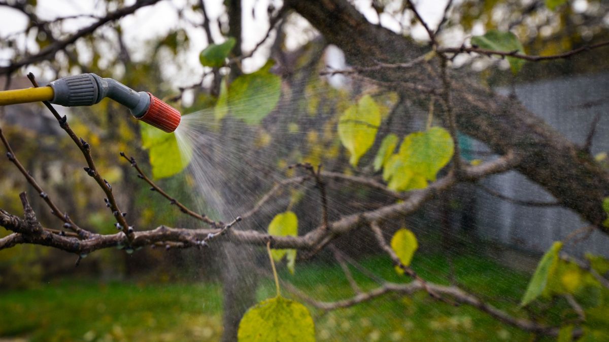 Támadnak a hernyók és a bolhák