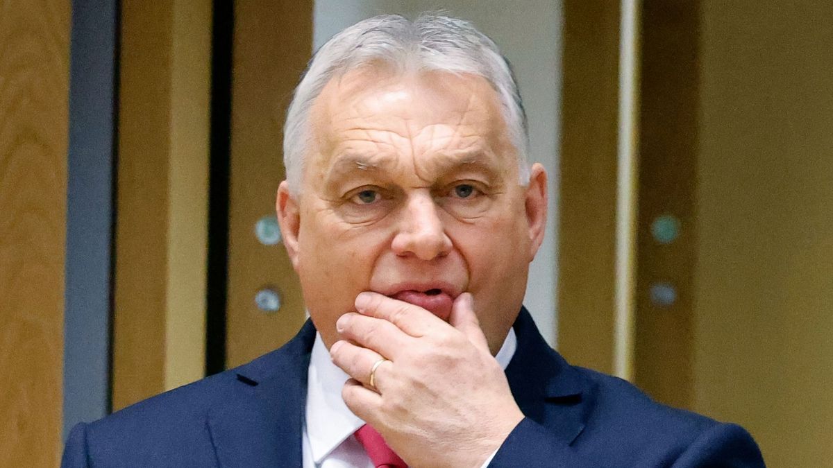 Az osztrákok már biztosak benne: ha ezt meglépi Magyarország, akkor sem büntetik meg