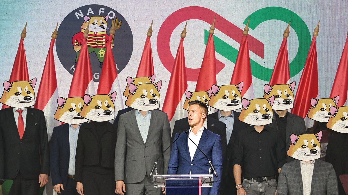 A NAFO-matrica háttere: szélsőséges szervezet lehet Magyar Péter egyik legnagyobb támogatója