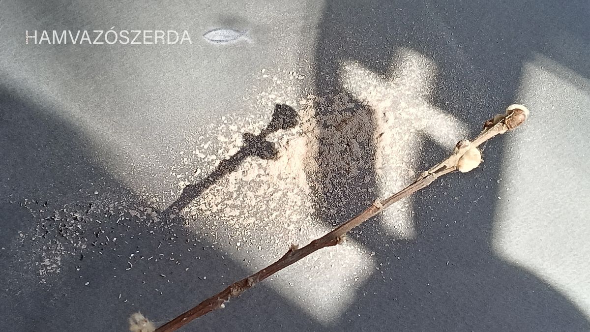 „Azért szállunk lélekben halálunk percébe, hogy erőteljesebben s örvendezőbben éljünk” – hamvazószerda napja legyen a jótékony és szent borzongásé!