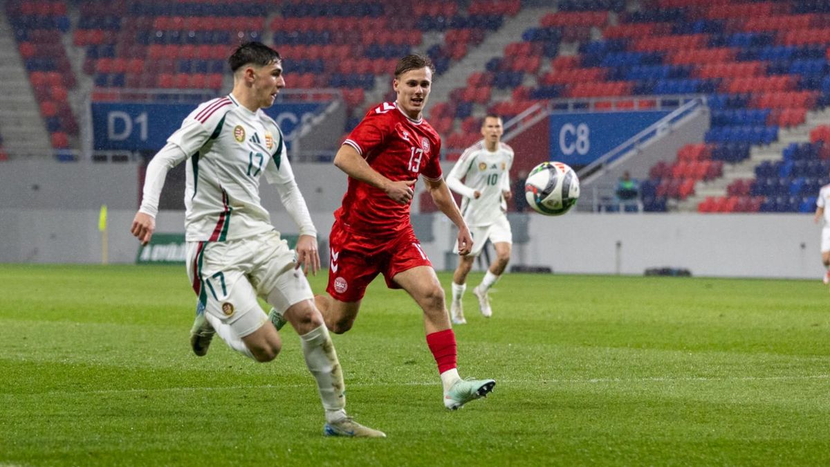 A dánok is megtanulták, miért nem szabad a magyarokat hergelni (VIDEÓ)
