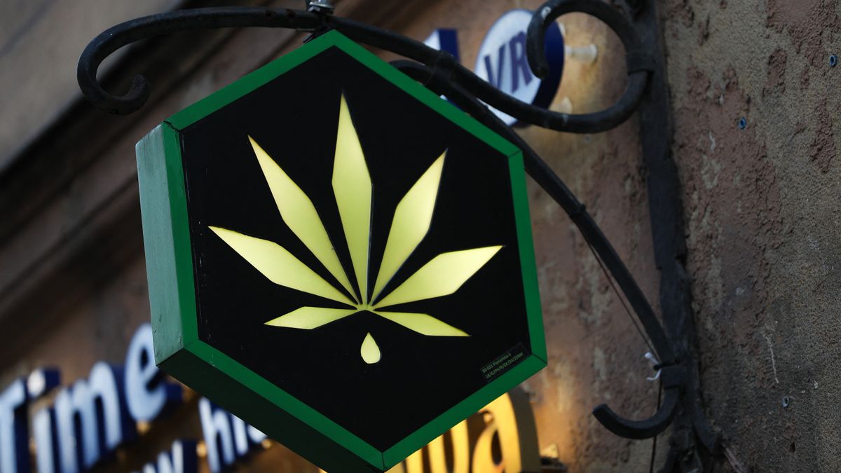 Újabb javaslat a drogok elleni küzdelemben: ha a horogkeresztet be lehet tiltani, akkor a kannabisz szimbólumot is