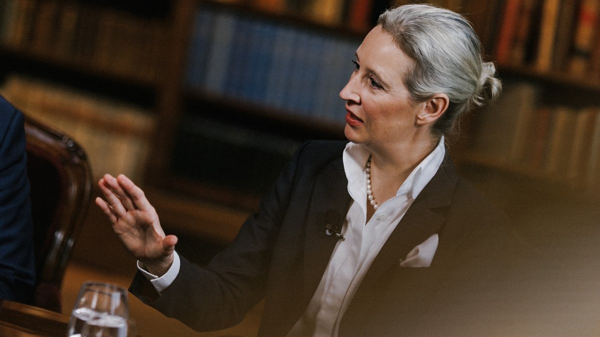 Megállíthatatlan az AfD Németországban: rekordokat dönt a népszerűségük a bevándorláselleneseknek