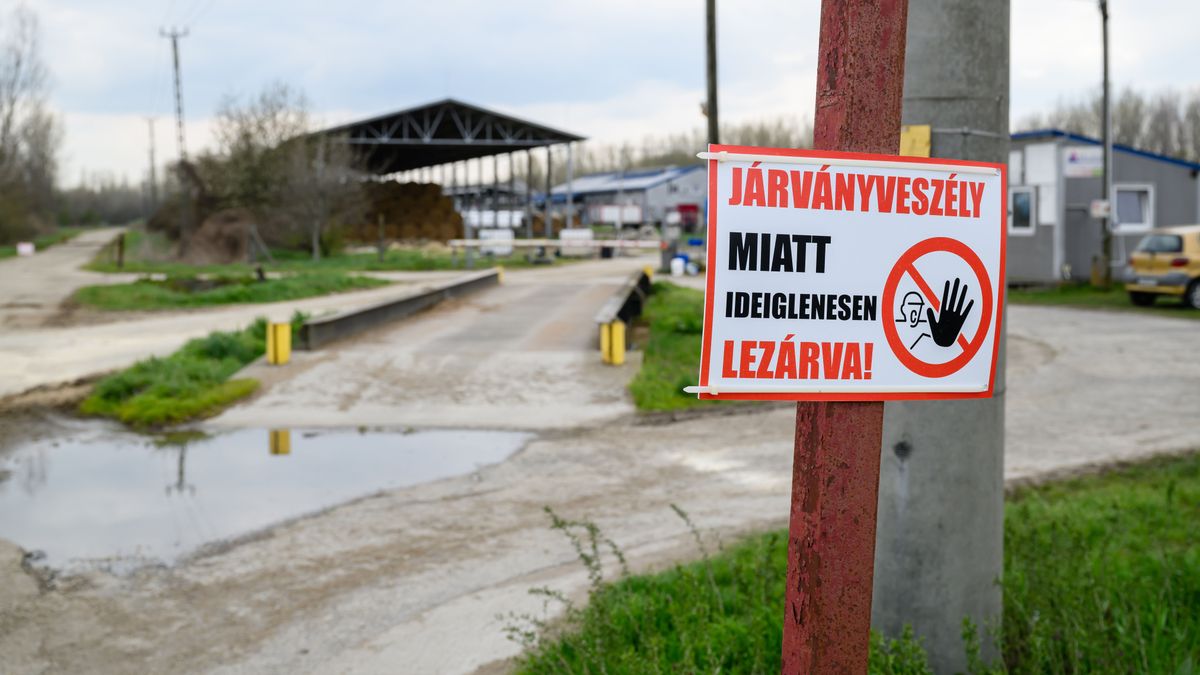 Tovább terjed a vírus, újabb zárlatot rendeltek el