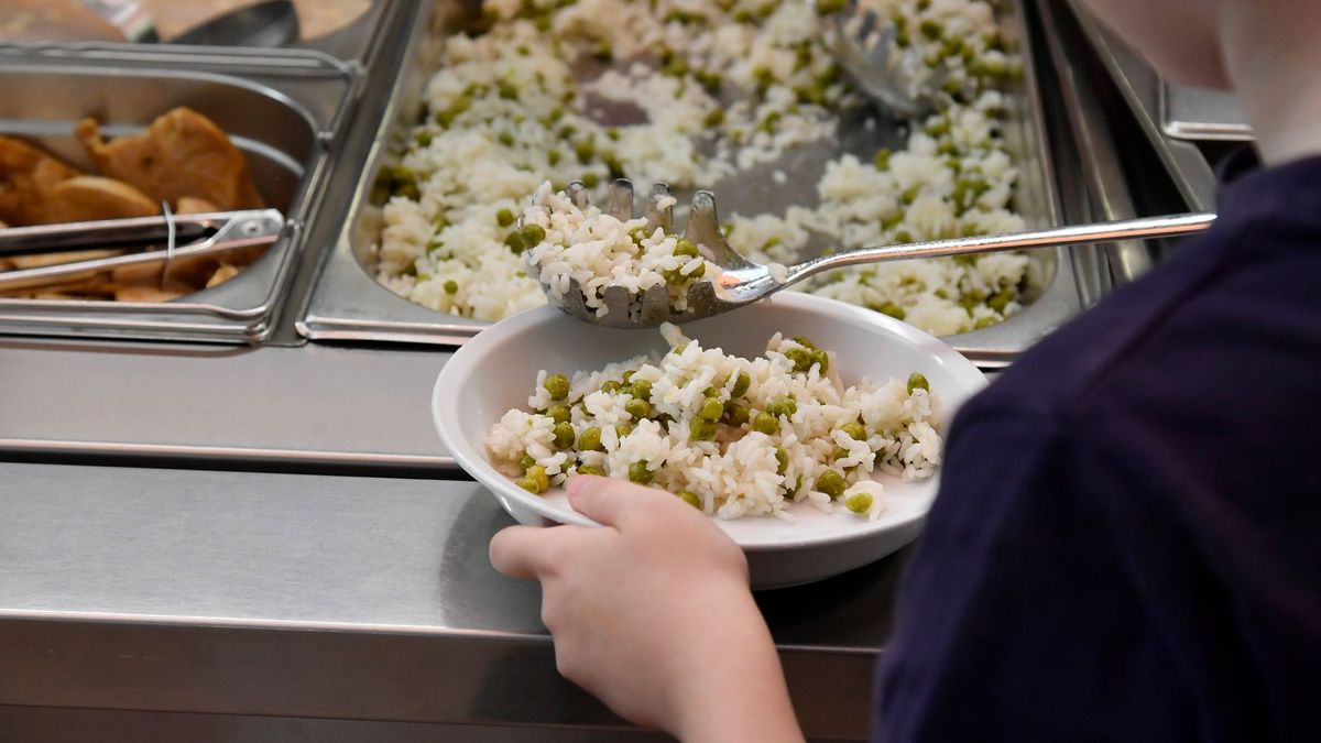 Rendkívül súlyos büntetés várható – megvan a tömeges ételmérgezés felelőse