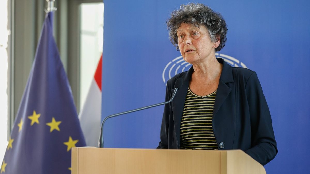 Nem lehet örökké a be nem avatkozás politikáját követni – vallja a holland zöldpárti politikus, a legújabb Magyarország elleni jelentéstevő