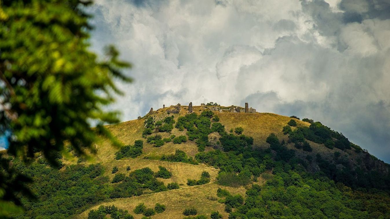 Gólyák