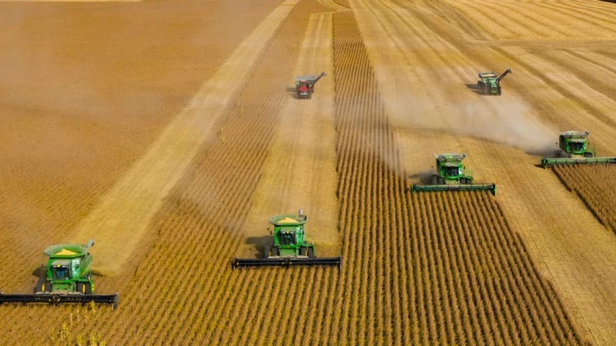 „Az egész uniós agrár-élelmiszeripart tönkreteheti” – nem kertelt a NAK-elnök Ukrajna csatlakozásával kapcsolatban
