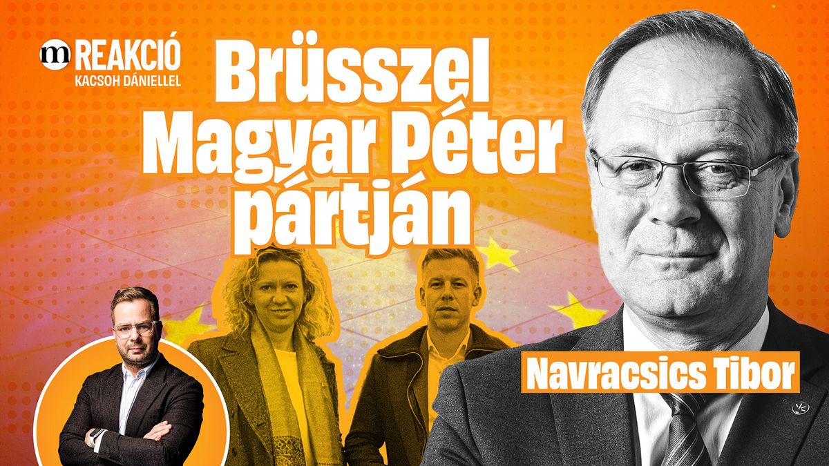 „Ilyet nem lehet mondani” – Navracsics Tibor kiborult Kollár Kinga botrányos nyilatkozatán (VIDEÓ)