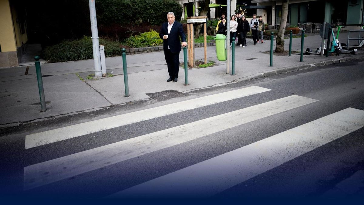 Újra zebraügyben fordultak Orbán Viktorhoz: az okoszebrák is terítékre kerültek