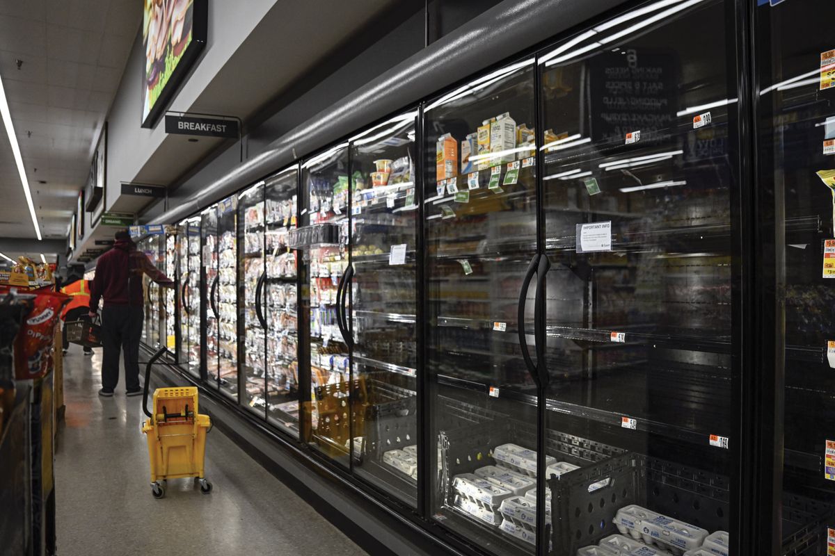 US bird flu outbreak disrupts egg supply, drives up prices