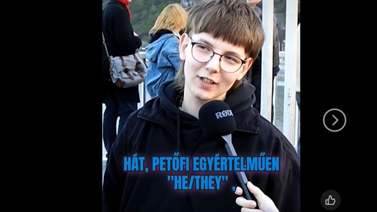Erre a videóra senki nem lehet felkészülve: a keddi hídfoglalók elmondták, hogy melyik híd fiú és melyik lány
