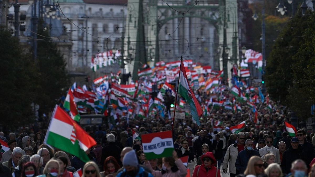 Szorul a hurok Magyar Péterék körül – Bayer Zsolt utcára hívja az embereket