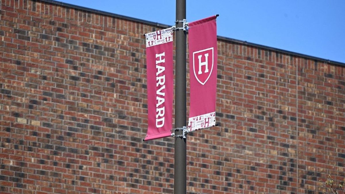 Akasztják a hóhért: Trumpék rasszizmus miatt indítanak vizsgálatot a Harvard ellen