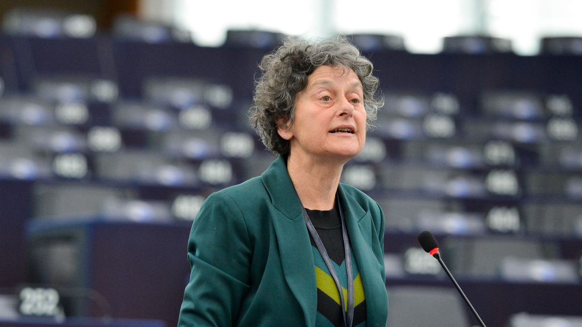 Az egész európai jobboldal bojkottálta a Magyarországra érkező európai parlamenti delegációt