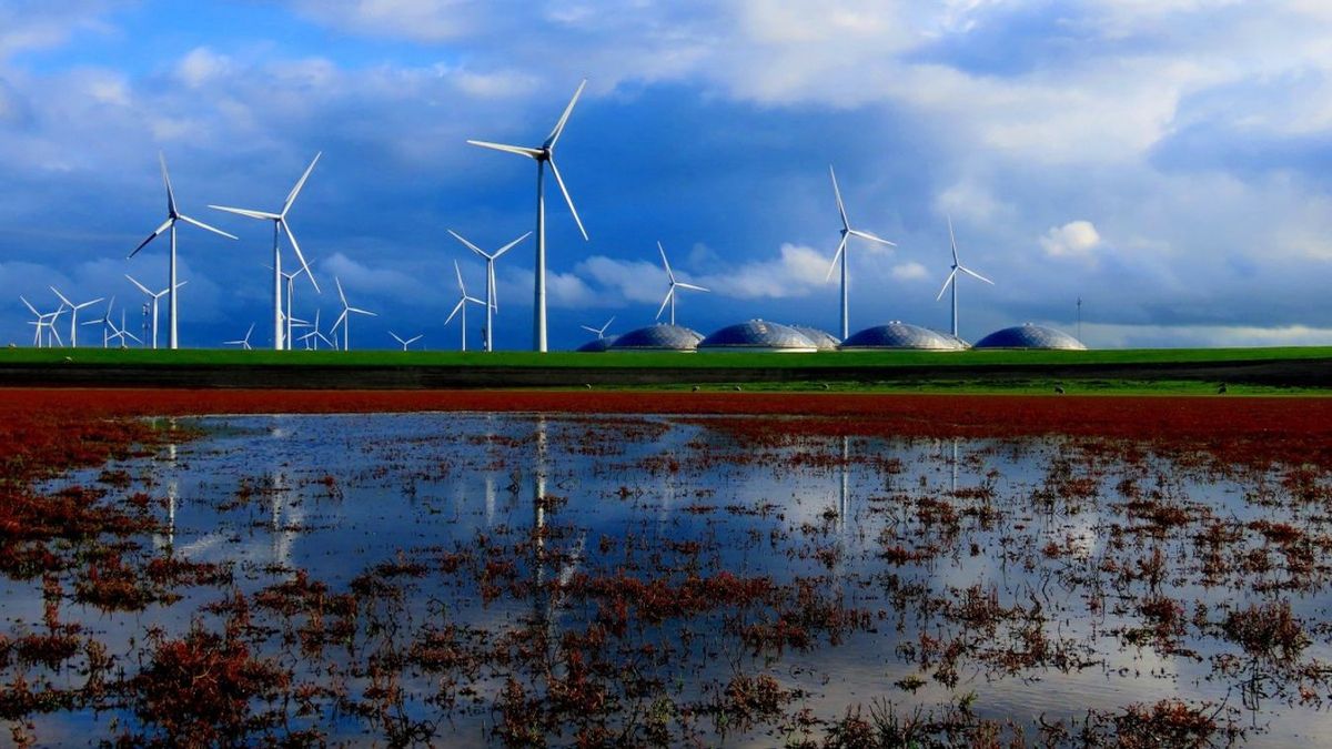 A zöld energia élharcosánál az egész ország elektromos rendszere összeomlott