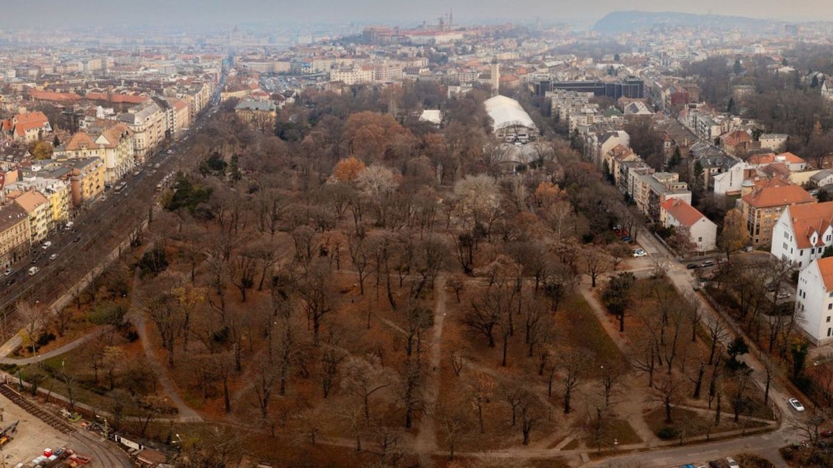 Sorában állnak a cégek a Városmajor támogatásáért