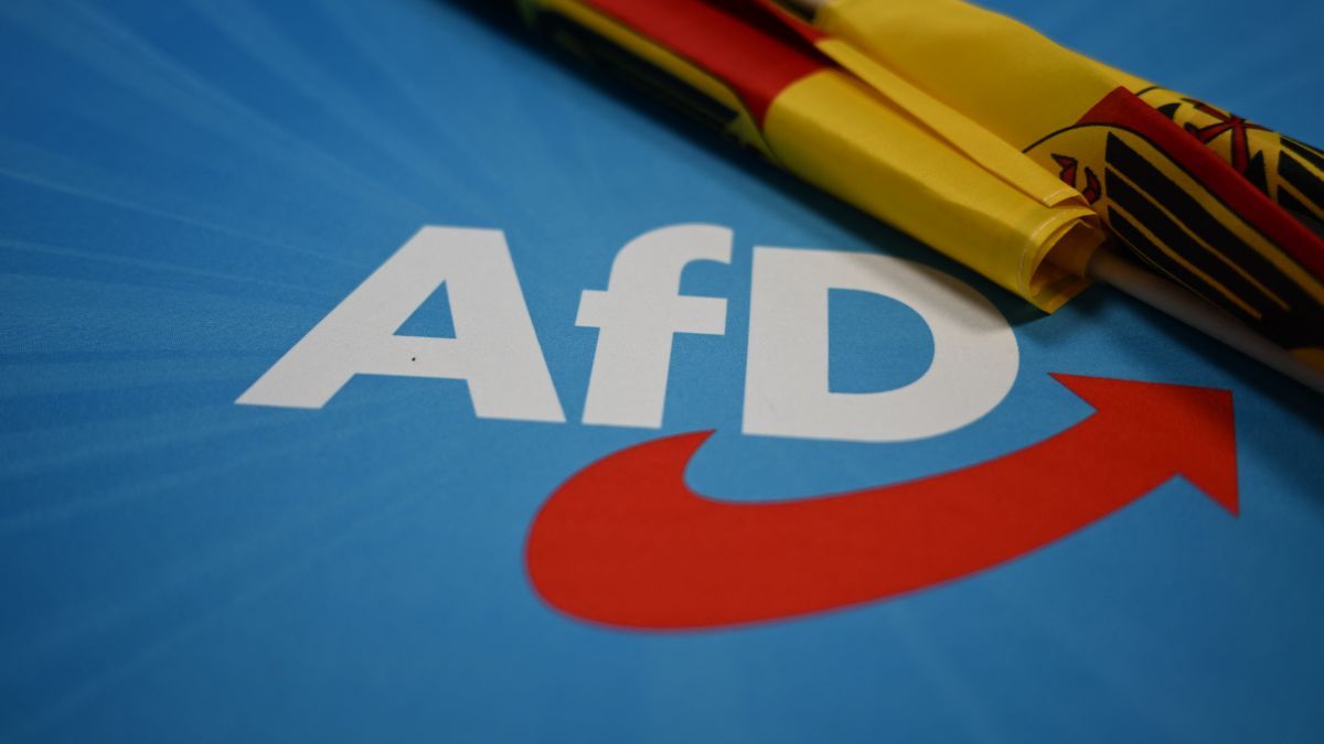 Olyat mondott a német belügyminiszter az AfD-ről, amire kevesen számítottak