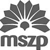 Magyar  Szocialista Párt