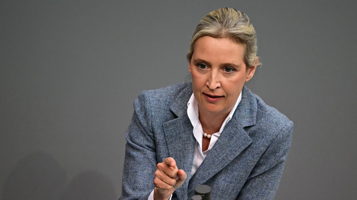 Áll a bál Németországban: drasztikus lépésre szánta el magát az AfD