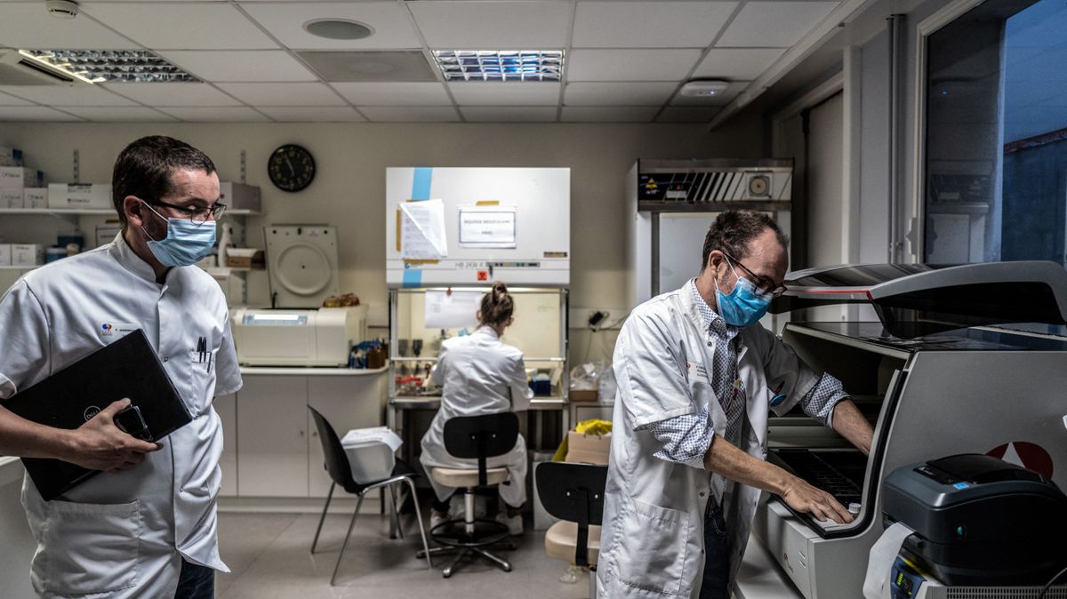 Áttörés a rákkutatásban: magyar tudósok megfejtették hogyan éli túl a tumor a kemoterápiát