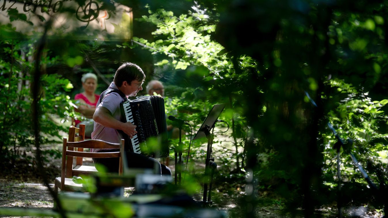 Muzsikál az erdő a Hírös Városban