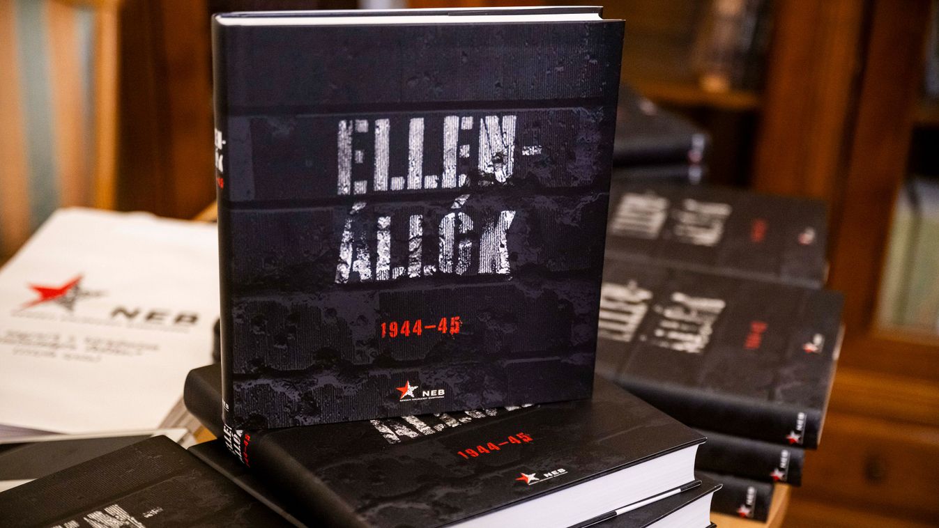 Kockázatvállaló ellenállók